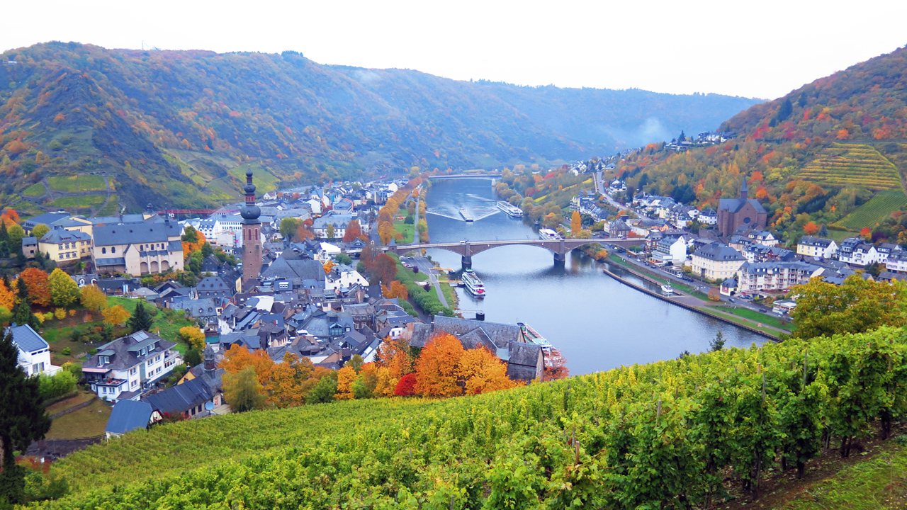 Mosel 2016